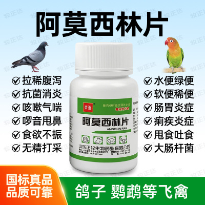 鸟用阿莫西林片鹦鹉鸟用拉稀感冒