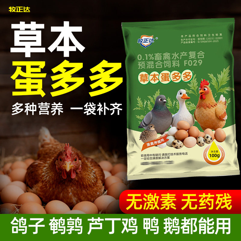 蛋多多鸡鸭鹅鸽子鸟用