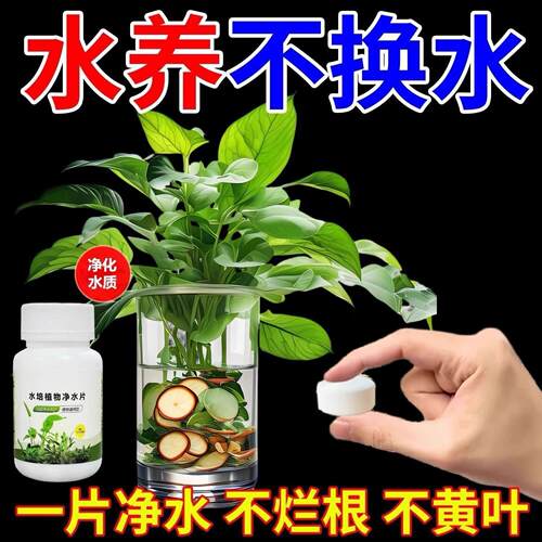 花艺剪刀鲜花修剪花卉花剪园艺不锈钢修花插花花店专用打刺修枝剪