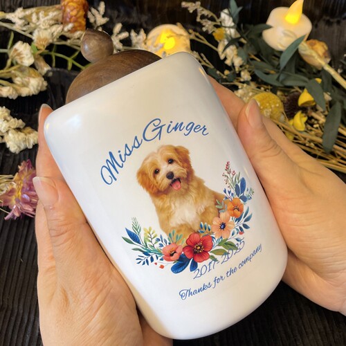 宠物密封防潮陶瓷骨灰盒猫狗骨罐