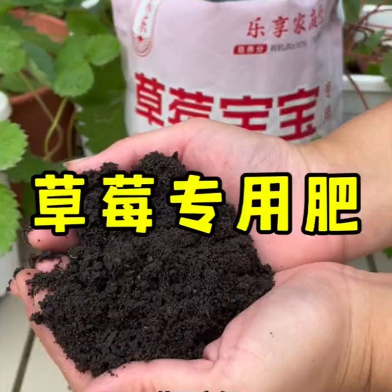 草莓专用肥有机肥颗粒缓释肥通用型花肥家用种菜盆栽草莓苗肥料