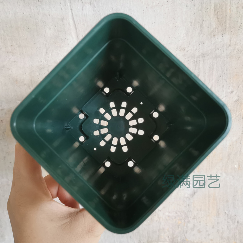 小号大号正方形多肉加仑青山盆月季花盆塑料控根盆简约蓝莓黑方盆