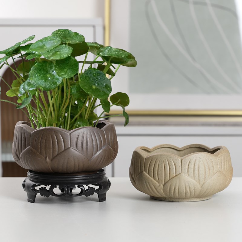 铜钱草水养绿萝桌面水培办公桌紫砂花盆陶瓷大小花盆无孔专用器皿