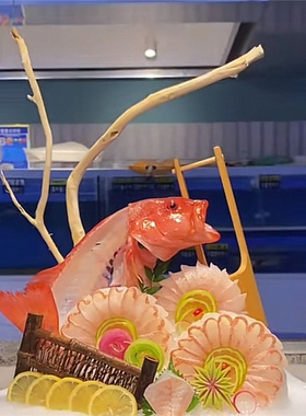 海鲜姿造创意装饰品天然弯树枝树根刺身三文鱼乾树枝迎客松枯树枝