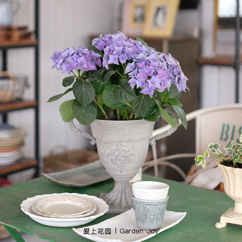 爱上花园丨园艺杂货花园装饰摆件铅色做旧铁皮酒杯花纹徽章大奖杯