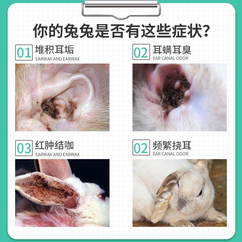 兔豆兔漫青兔去满兔子洗耳液兔滴耳液兔用清洁耳朵耳道除耳螨耳垢