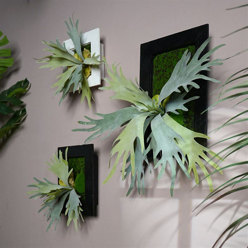 仿真植物壁挂蕨类绿植墙面装饰实木底座挂墙盆栽多肉垂.吊木框装