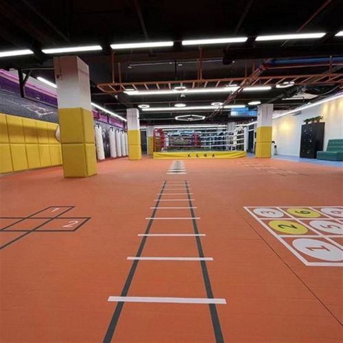 拳击卷垫 搏击武术散打无缝卷垫舞蹈摔跤地垫多功能运动垫训练xpe