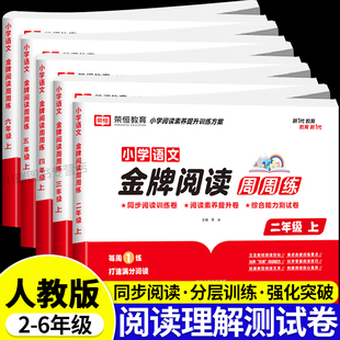 小学语文金牌阅读周周练教材同步真题测试卷练习册小学生二三四五六年级上册下册阅读理解答题技巧专项强化训练题学习资料书人教版