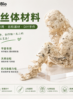 平菇菌谷粒基质DIY材料560g
