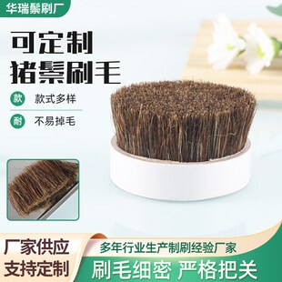 供应30mm黄头切鬃猪毛 工业刷毛及发梳花色猪毛原料水煮鬃毛