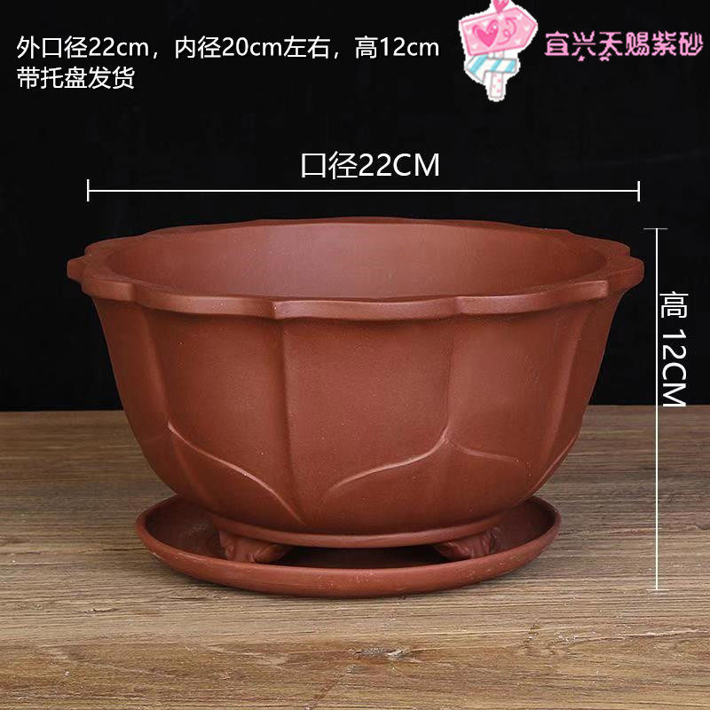 宜兴紫砂花盆精品小圆盆手工透气紫砂办公桌盆景绿植花卉盆带托盘