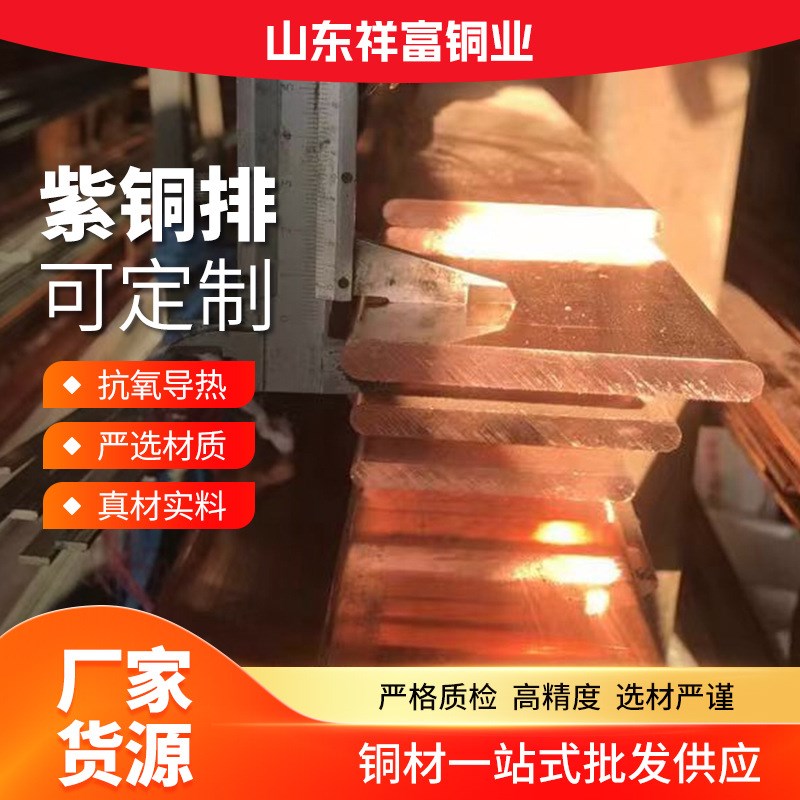 现货 t1 t2紫铜排 电工用接地紫铜排 镀锡紫铜排 扁方紫铜条