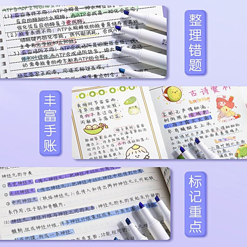 Color highlighter a set of 10 color marker peXns荧光记号笔