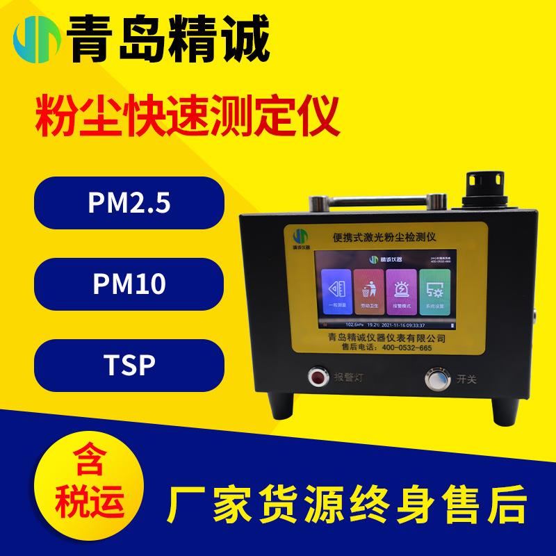 可吸入颗粒物PM10激光粉尘快速检测仪空气粉尘浓度PM2.5测定仪