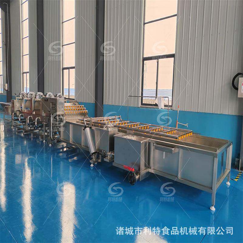 萄干气泡清洗机葡萄干杏FUP清仁干水果干洗风干水线按葡需匹流配