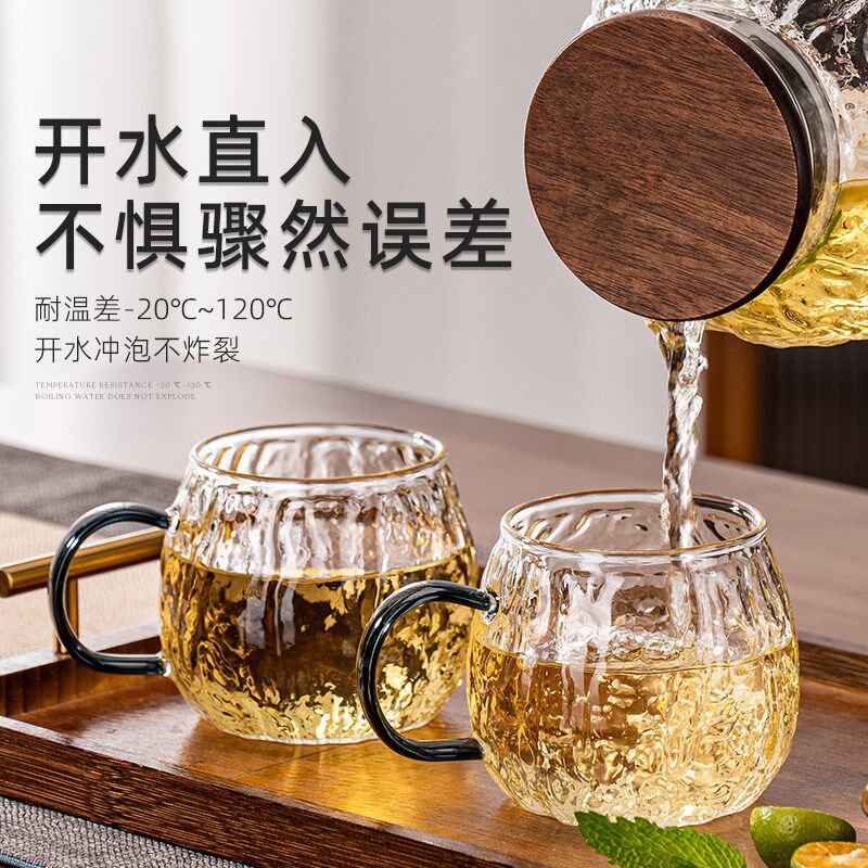 耐高温玻璃喝水杯子套装家用轻奢高级感待客厅高颜值带把手泡茶具