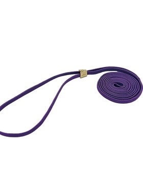 黑色赛级犬遛狗绳牵引绳夹带夹绳梗犬专业犬展比赛绳新款训练绳