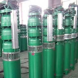 家用喷灌抽水泵潜水泵高扬程泵75Q1026泵灌溉深井泵泵J农用25