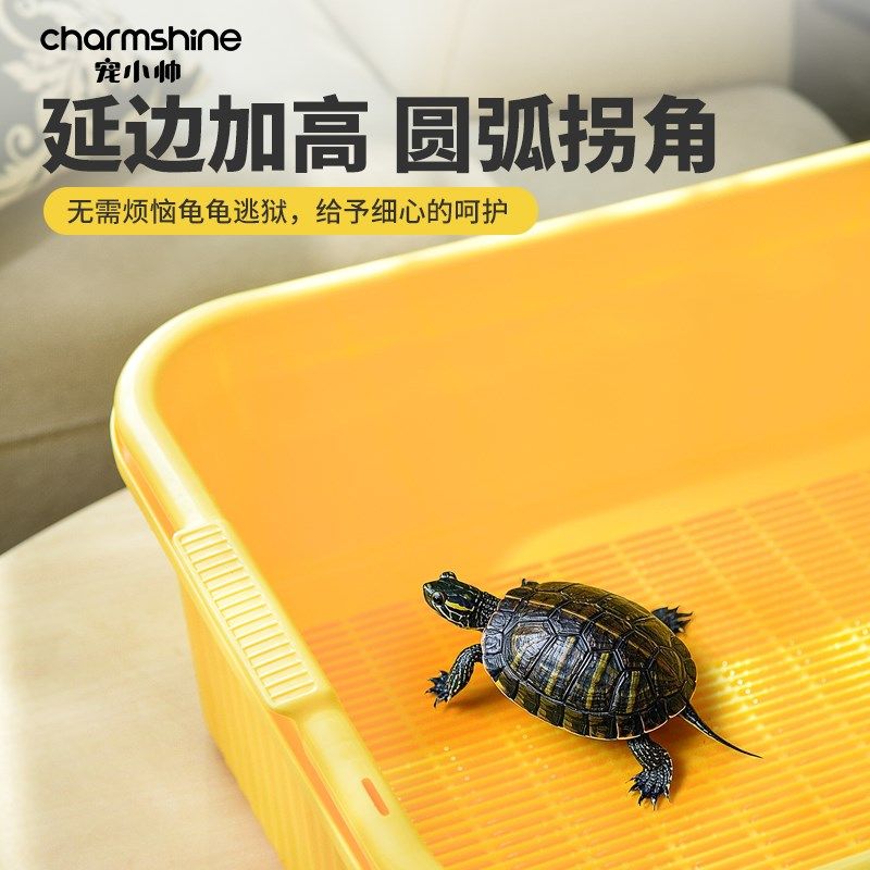 宠小帅生态乌龟缸双层龟便分离造景缸鱼龟混养缸小型家用底滤龟缸,宠物/宠物食品及用品,龟缸,淘宝优惠券,粉丝福利购,淘宝优惠卷