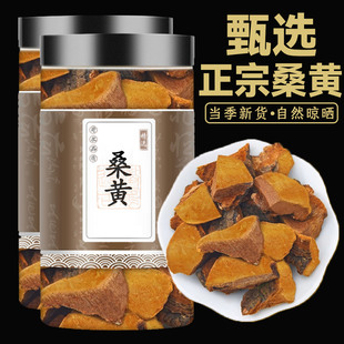 桑黄中药材桑树桑黄茶正宗干货煲汤正品官方旗舰店泡茶泡水的功效
