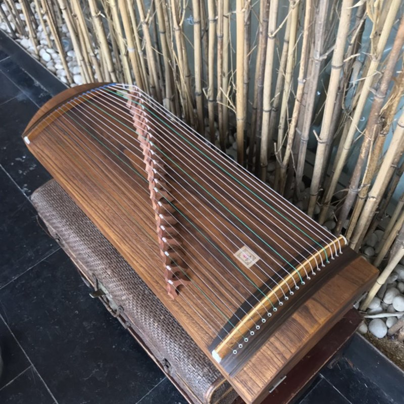 21弦迷你小古筝75 85cm便携式半筝 初学入门演奏小型练习筝1米