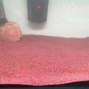 天然优质造景免洗粉沙暖白沙巴卡雷龙七彩神仙鼠鱼化妆沙鱼缸底沙