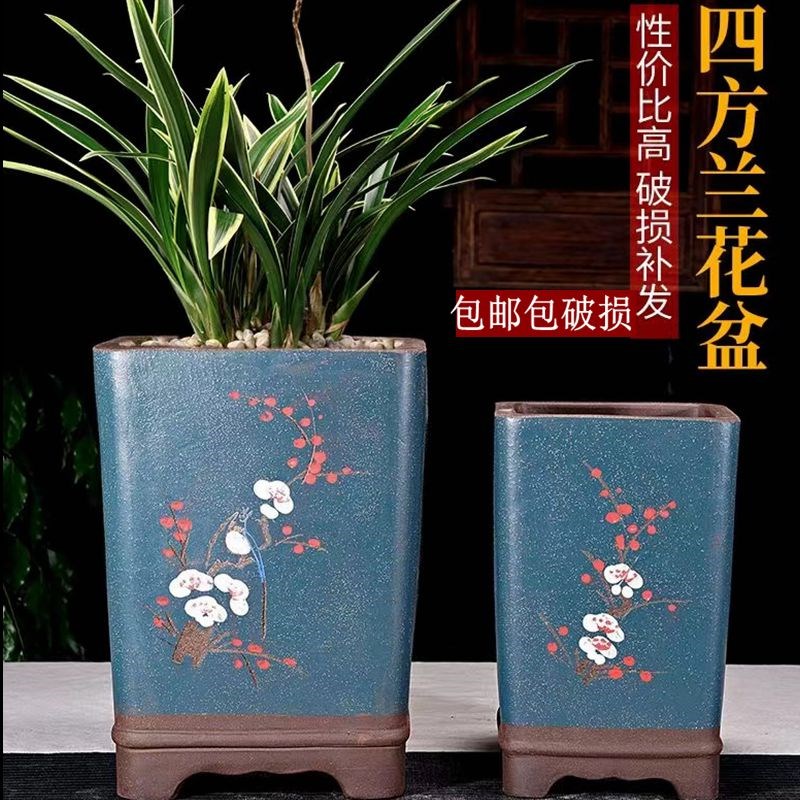 宜兴紫砂四方签筒兰花君子兰陶瓷紫砂悬崖盆花卉绿植盆花园造景