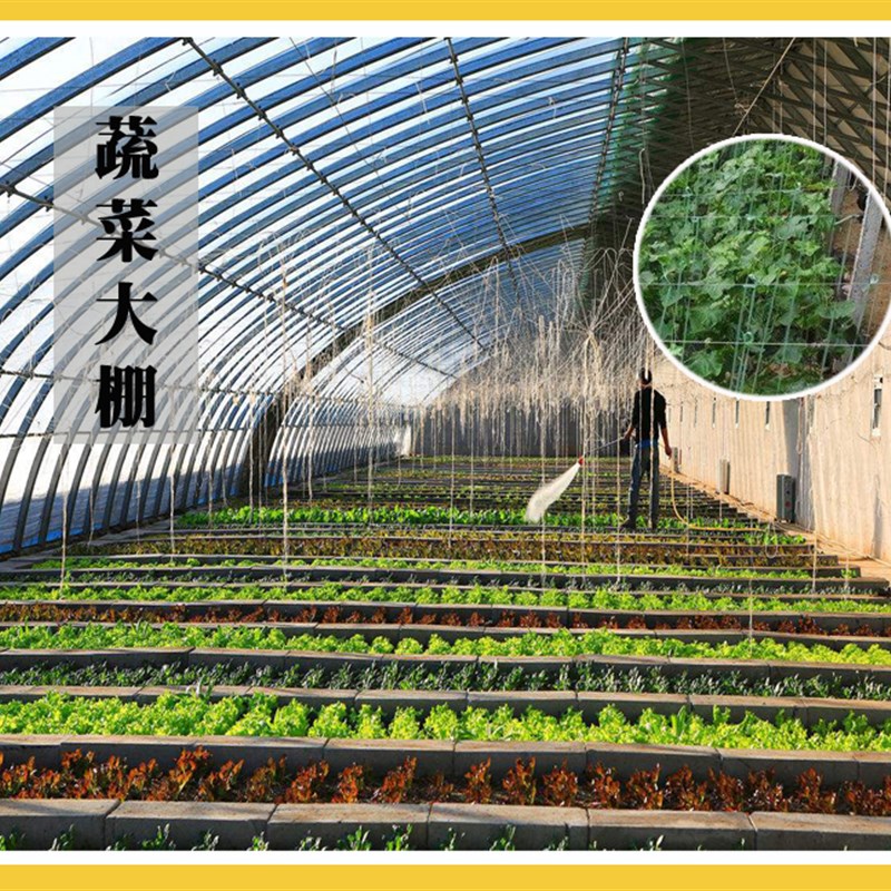 热镀锌铁丝镀锌钢丝搭大棚果园冷拔丝挂窗帘晾衣绳工地8-20号