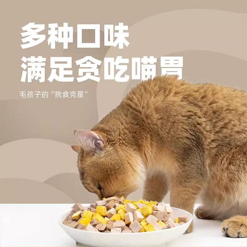 怕老婆的豆哥小毛豆冻干猫零食咕噜脆鸡肉粒鹌鹑成猫幼猫纯肉冻干,宠物/宠物食品及用品,猫冻干零食,淘宝优惠券,粉丝福利购,淘宝优惠卷