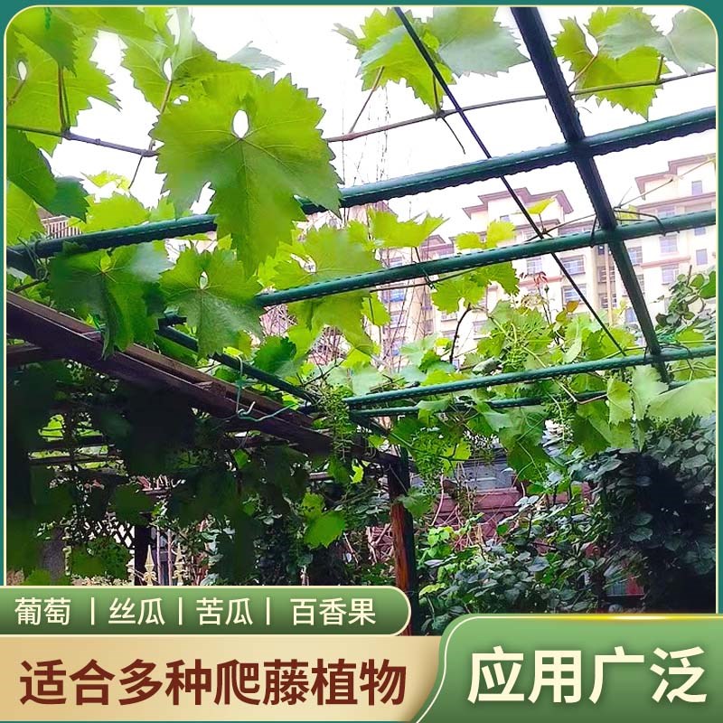 葡萄架爬藤架钢管杆子葡萄架子庭院户外家庭简易黄瓜豆角月季支架