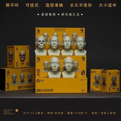 头头是道素描头像教具米隆石膏像美术生素描模型静物头骨艺术摆件