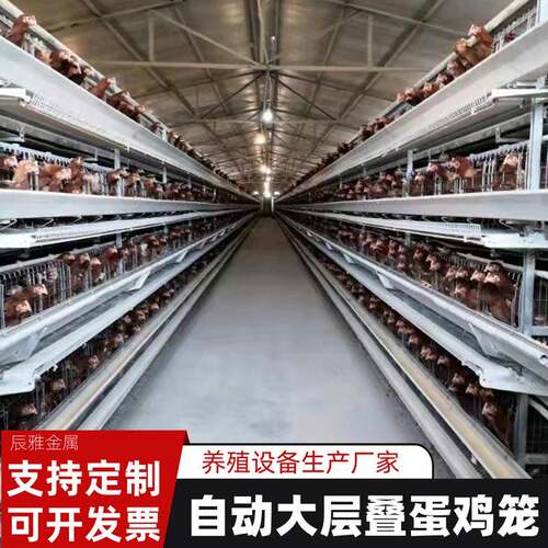 镀锌全自动大层叠蛋鸡笼养鸡场蛋鸡养殖设备自动集蛋清粪养殖笼具
