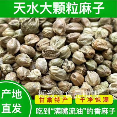 甘肃天水特产麻子大粒人吃炒熟食用大颗粒炒火麻仁籽即食炒货零食