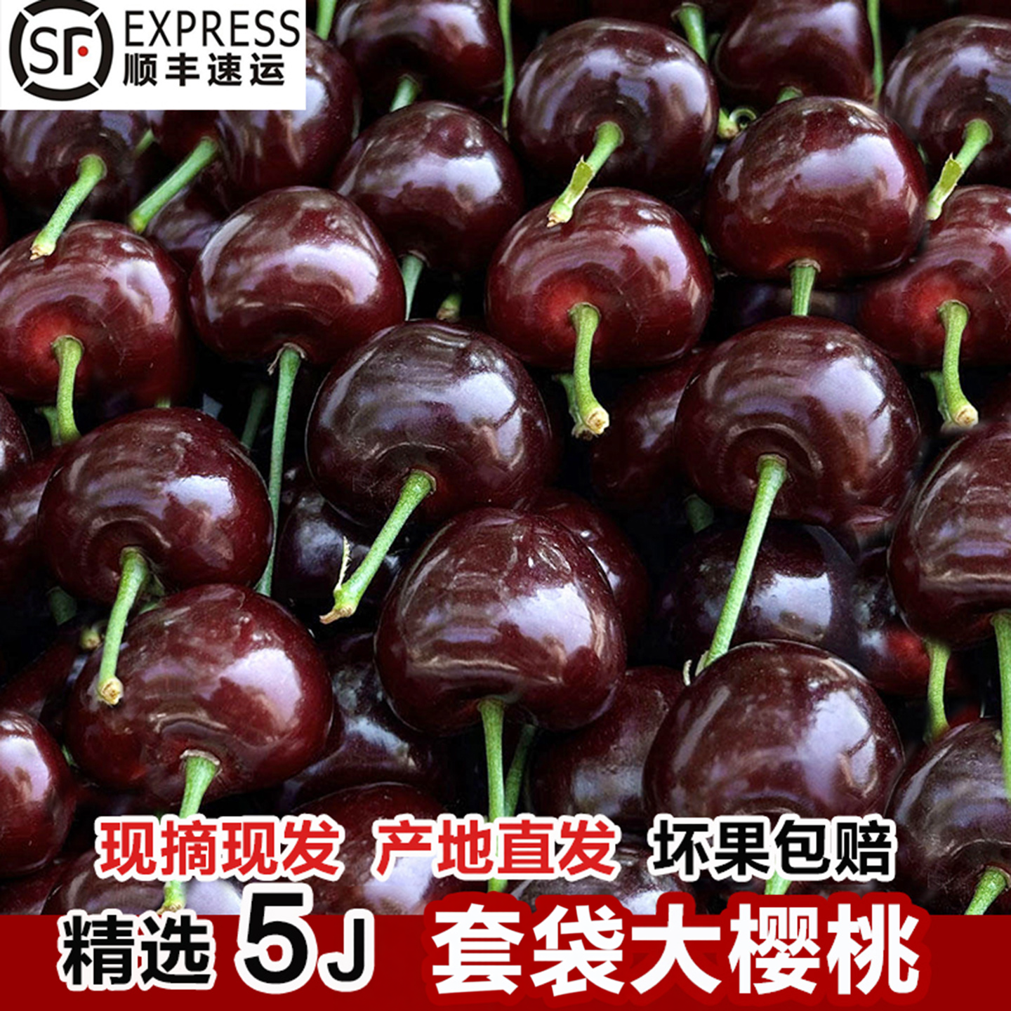 天水大樱桃当季新鲜孕妇水果国产车厘子套袋黑珍珠5J5斤现摘现发