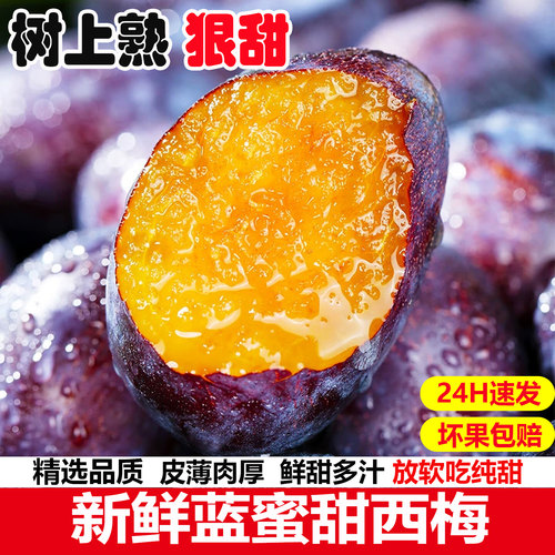 甘肃纯甜西梅新鲜水果当季树上熟