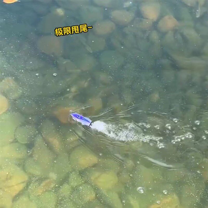 遥控船高速快艇带灯光翻转下水迷你电动大马力水上遥控.军舰打窝