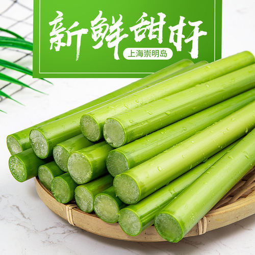 甜杆小甘蔗甜芦粟新鲜现砍顺丰包邮当季水果芦稷甜高粱杆