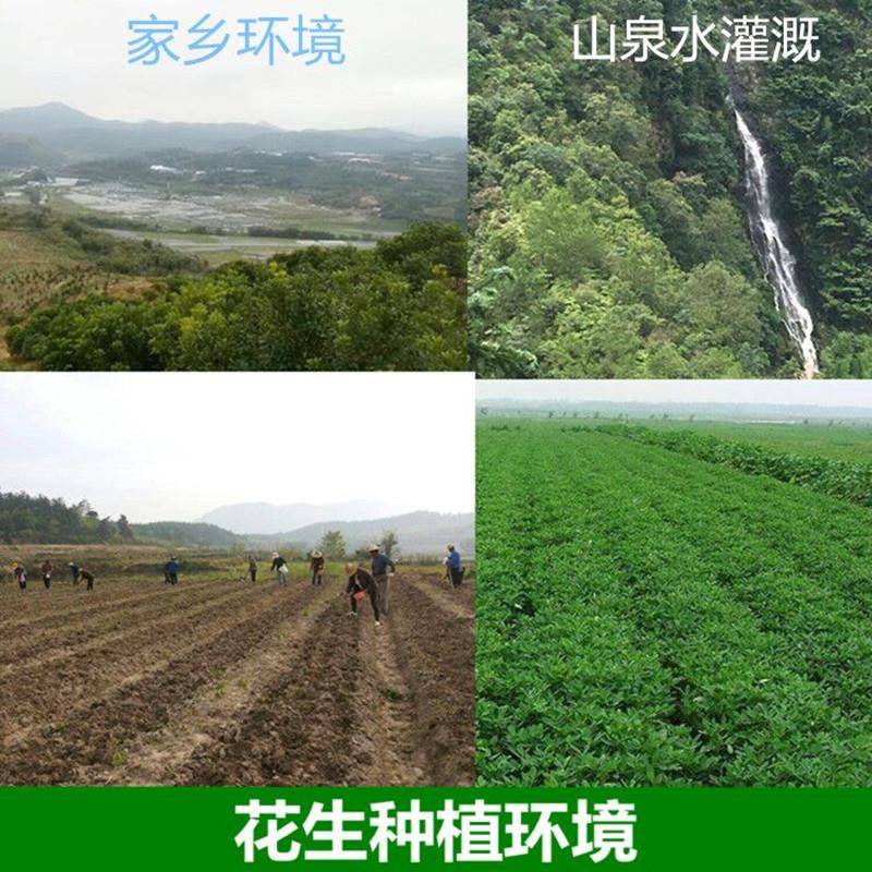 2025年花生水煮花生咸干花生白晒花龙岩花生咸干非白晒水煮花生米