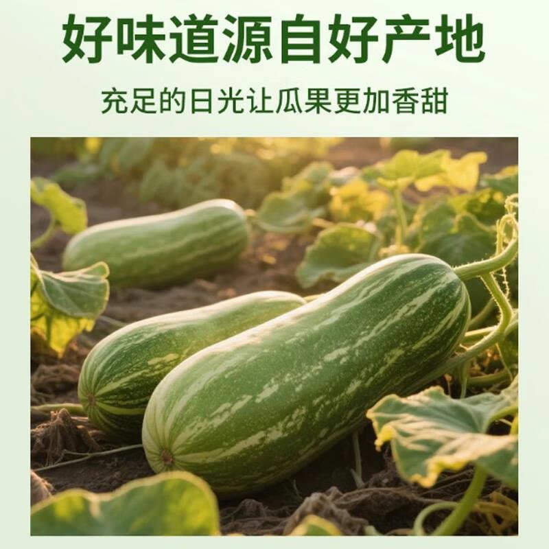 新品冬瓜糖正宗冬瓜条老式冬瓜糖办公休闲零食甜品营养水果干2026