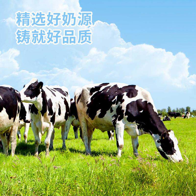 年货欧澜马斯卡彭膨布尼芝