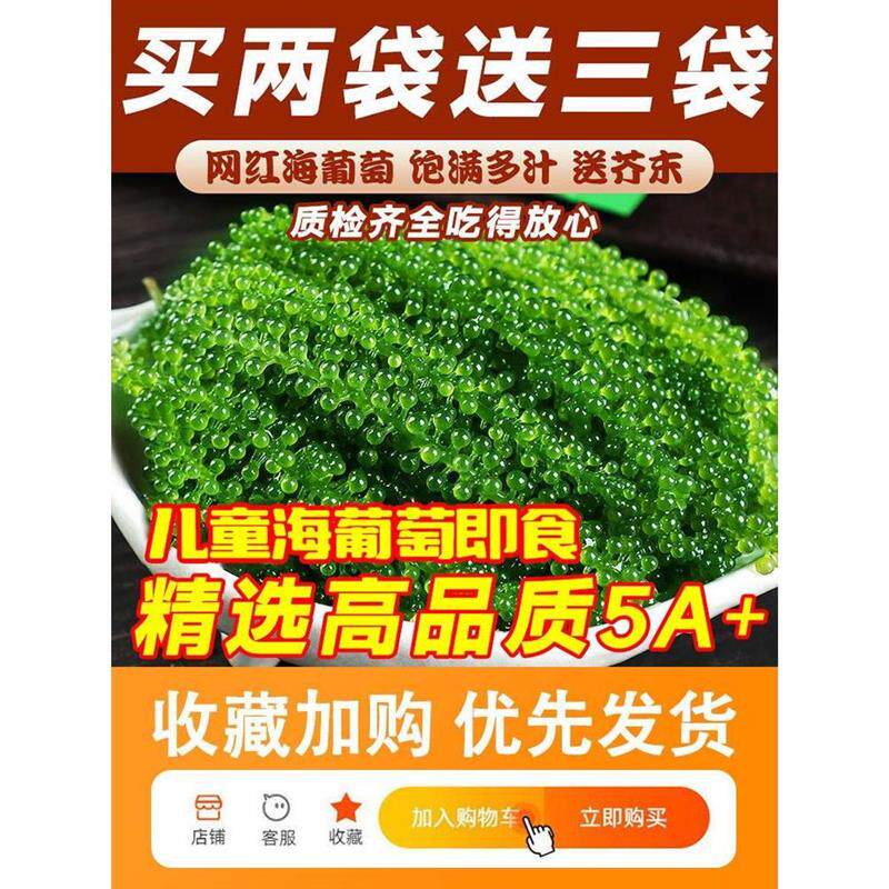 儿童海葡萄即食小孩吃的健