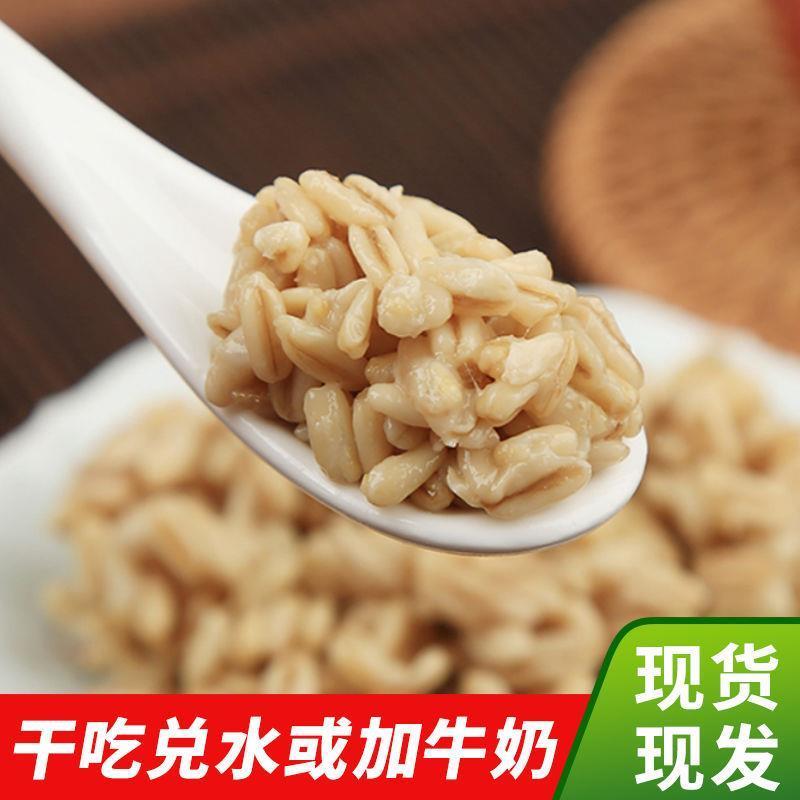 甜胚子5袋装甘肃兰州天水美食小吃甜醅燕麦酒酿醪糟莜麦真旗舰店