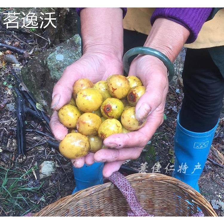 包邮浦城三叶野酸枣糕250g*3袋福建南平特产零食蜜钱果糕手工自制