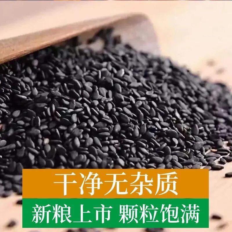 生黑芝麻新货纯黑芝麻干