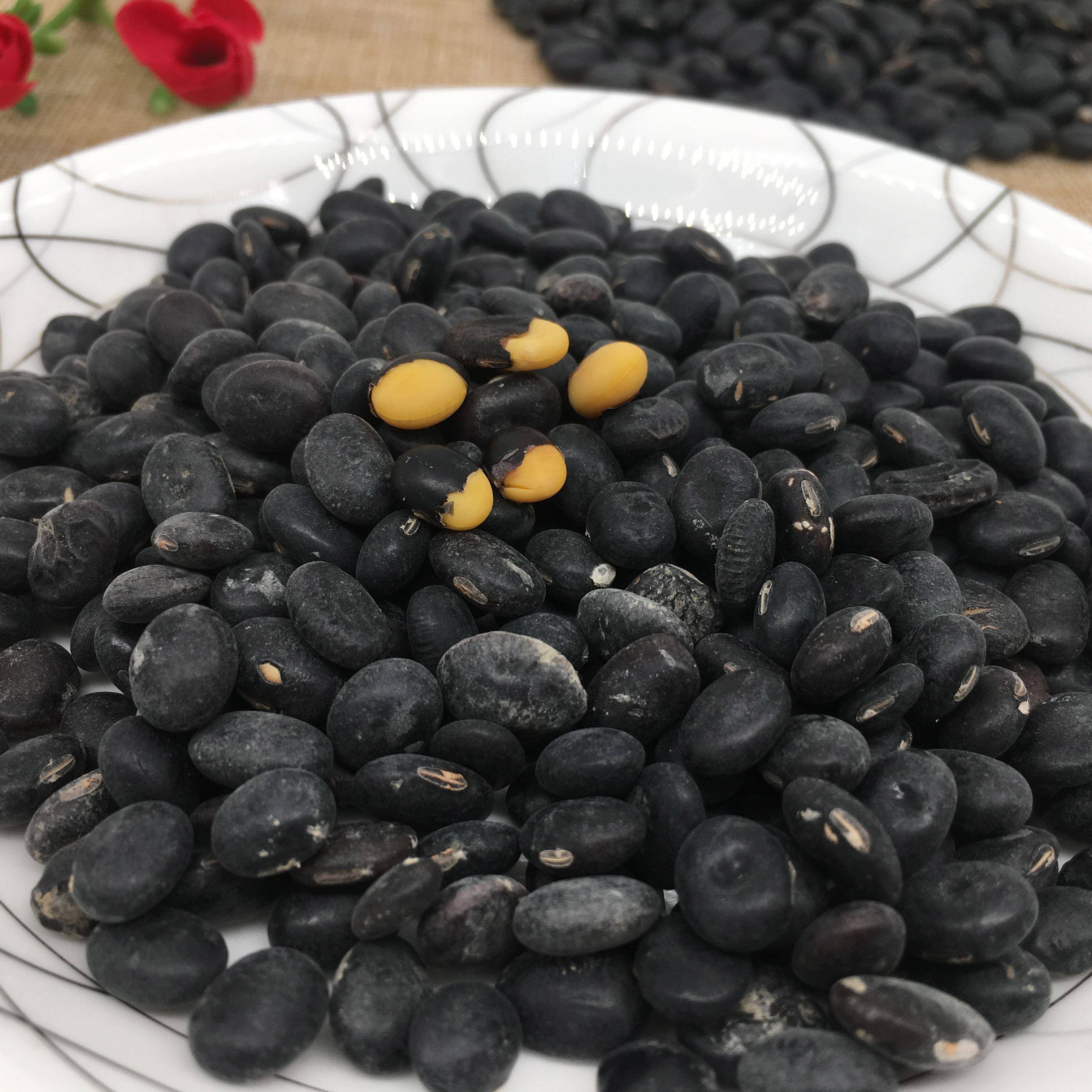 广东台山冲蒌黑豆黄芯带灰牛脚迹十月乌豆500g新收成自晒农家干货