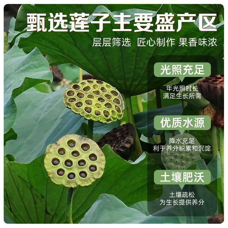 开袋即食莲子脆散装香酥脆莲子干去芯无芯脱水果蔬菜干新货小零食