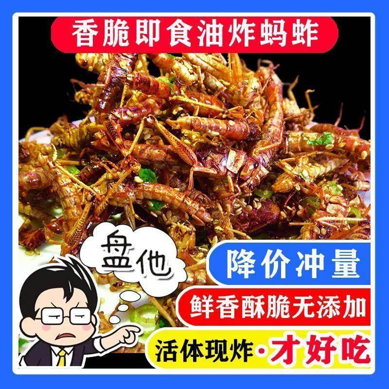 香脆油炸蚂蚱即食蝗虫低价小吃零食便宜下酒菜烧烤麻辣昆虫熟食品