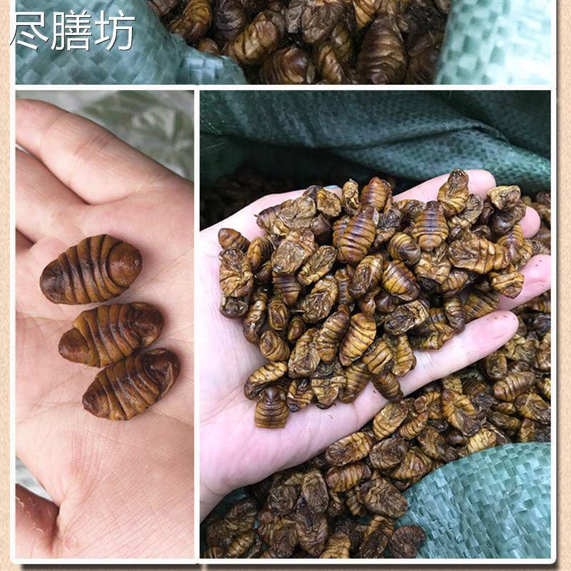蚕蛹干纯干蚕蛹饲料级蚕蛹鱼饵鸟食买5斤起包邮龙虾饲料蚕蛹打窝