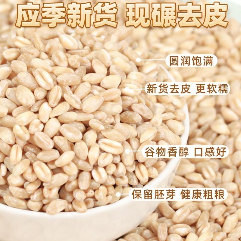 营养小麦米胚芽米新货脱壳小麦粒五谷杂粮粥米新鲜去皮麦仁米煮饭